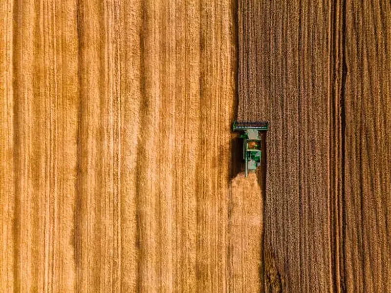 Agriculture